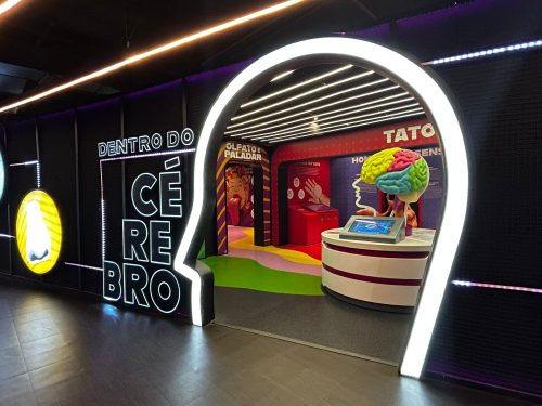 Capa Dentro do Cérebro